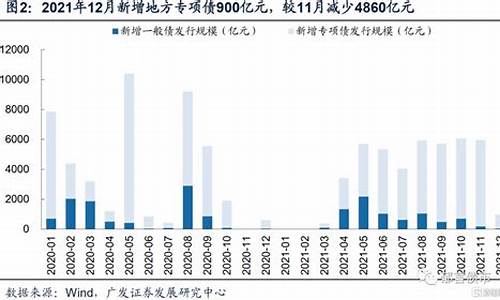 贵州地方债发行后对民生建设的推动作用(贵州省2020年债券发行规模) 应用