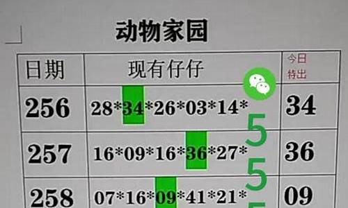 澳门精准资料49(澳门精准资料2023期)