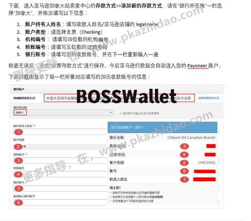 p网注册教程,注册教程 p网注册教程,注册教程 NTF