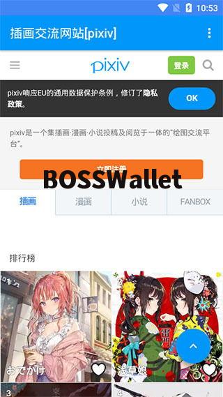 怎么登录p站网页版 怎么登录p站网页版 NTF